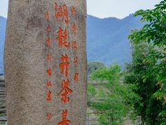 -龙坞茶村