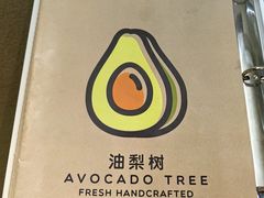 -油梨树AVOCADO TREE(顺义新国展店)