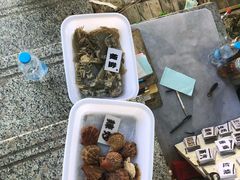 -睿柏云酒店-餐厅