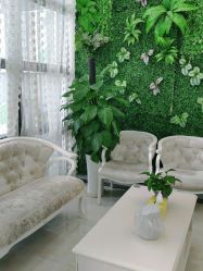 -苗医生草本科技祛痘