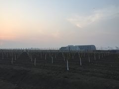 -南开大学滨海学院