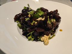 -洞庭家宴·头牌甲鱼(广渠门店)