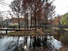 -巡塘古镇