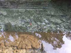 -和颐至尚酒店(济南趵突泉店)