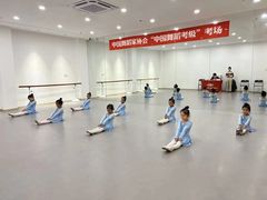 -飞童凡响艺术学校(松江区九里亭校区)