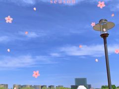 -大兴滨河森林公园