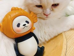 -猫和宫(六道口店)