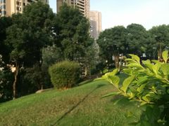 -重庆市江北嘴中央商务区中央公园