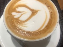 -滚猫咖啡·猫咖·猫友好撸猫(未来城店)