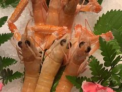 -Mr.Fish鱼鲜生海鲜放题(高德置地冬广场店)