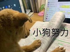 -天天玩X秋葉原日系动漫游戏中心