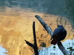 -叠溪松坪沟景区