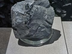 -抚顺煤矿博物馆