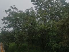 -妙峰山风景名胜区