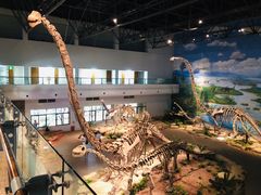 -自贡恐龙博物馆