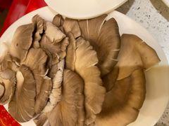 -DaLongYi Hotpot - 大龙燚火锅 - 地道四川老火锅
