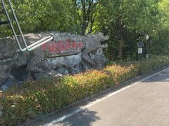 -中国扬子鳄村