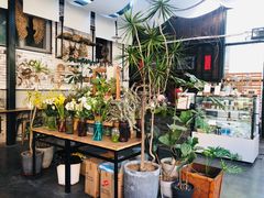 -北马山庄植趣咖啡