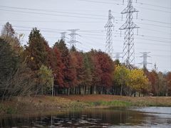 -上海长兴岛郊野公园