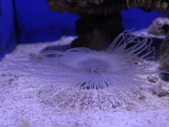 -青岛海底世界-水族馆