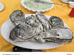 -蚝专家(北滘店)