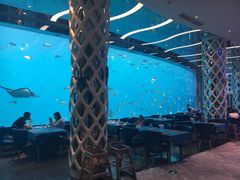 -瑞德姆美人鱼海底演艺主题餐厅(亚龙湾店)