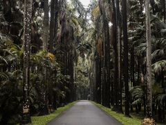 -华南国家植物园-售票处