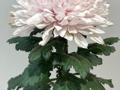 -汇龙潭