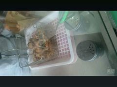 -星海汇海鲜自助烤肉火锅(百大店)