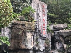 -广州市流溪河国家森林公园