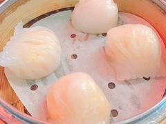 -点点心点心专门店(湾仔店)
