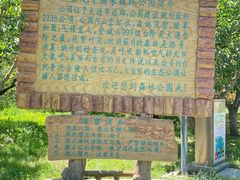 -金龙寺国家森林公园