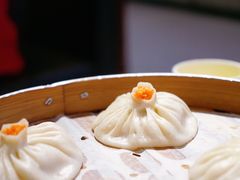 -老班长手工灌汤包(望京华彩店)