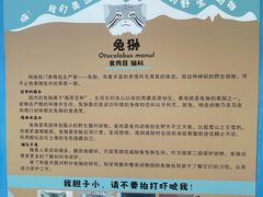 -青藏高原野生动物园