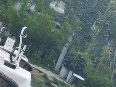 -不盐·而喻的味道