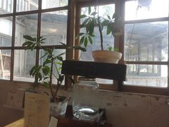 -懒鱼时光馆(沙坪坝店)