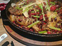 -老板恋上鱼(印象城店)