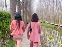 -合肥滨湖国家森林公园