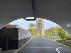 -洋湖国家湿地公园