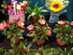 -BOBLOOM花店(宝龙旭辉广场店)