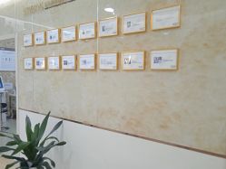 点击看大图 -新生植发·植养护一体