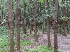 -同里国家湿地公园