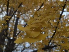 -西南民族大学南区(双流校区)