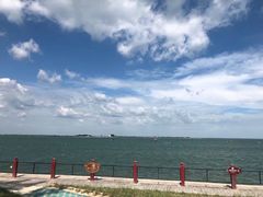 -北海金海湾红树林生态旅游区