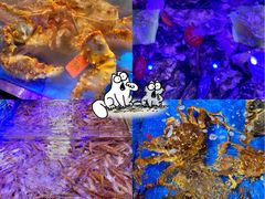 -盒马鲜生(大成店)