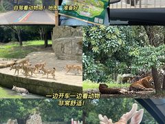 -常州淹城野生动物世界