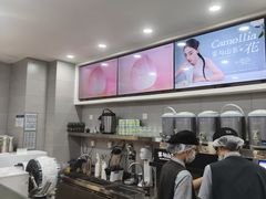 -雾与山茶(大禹城店)