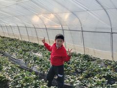 -小鱼草莓采摘园农家乐·小鱼餐厅