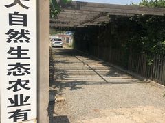 -大自然农场蔬菜草莓采摘园