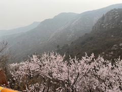 -妙峰山风景名胜区